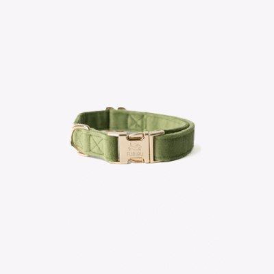 Furlou Velvet Halsband Green
