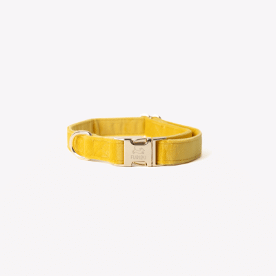 Furlou Velvet Halsband Yellow