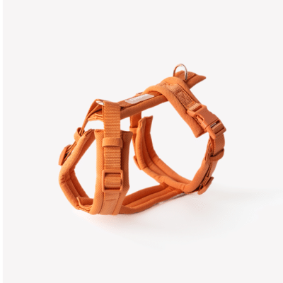 Furlou Comfort Sele Terracotta