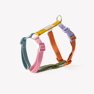 Furlou Strap Sele Rainbow