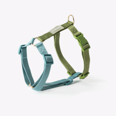 Furlou Strap Sele Blue & Green