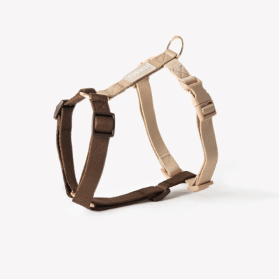 Furlou Strap Sele Brown & Tan