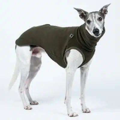 Karma Long Shirt Whippetmodell Oliv