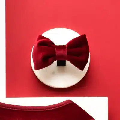 Cocopup London LUXE Velvet Bow Tie - Berry Red