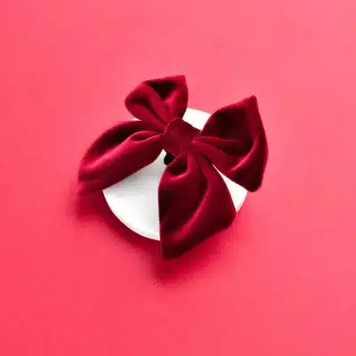 Cocopup London Luxe Velvet Sailor Bow Tie - Berry Red
