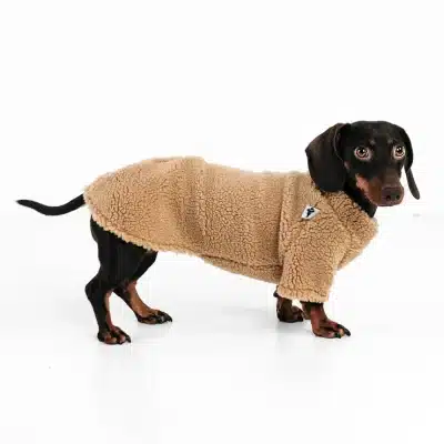 Karma Teddy Pullover Camel Taxmodell